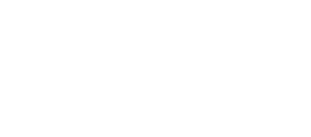 Logo Rede Águia